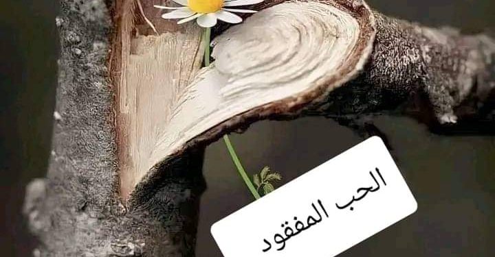 الحب المفقود …