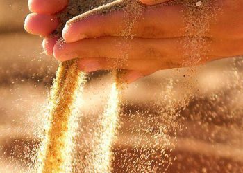 أبناء الأديم …