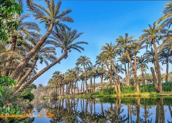 جَبينُ النُّور …