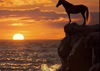 على أعتاب الشوق أنتظر …