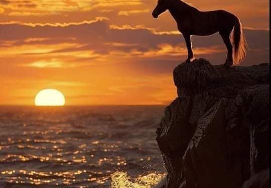 على أعتاب الشوق أنتظر …