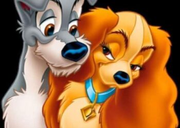 للحين تخجلين …