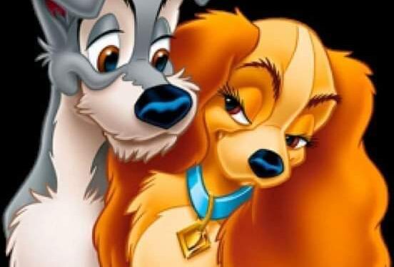 للحين تخجلين …