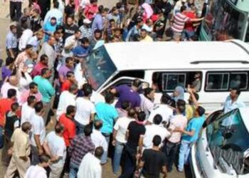 فينو و فاخر …