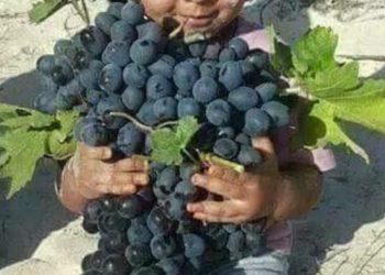 تكاد تهجرني نفسي …