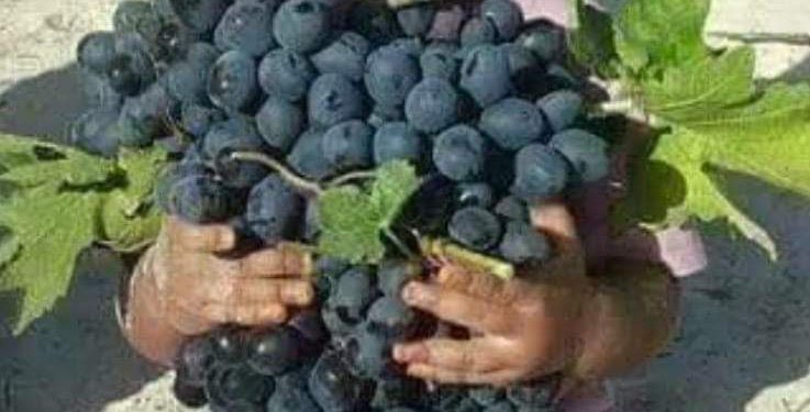 تكاد تهجرني نفسي …