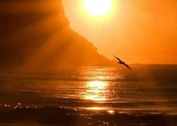  تراتيل الشّوق …