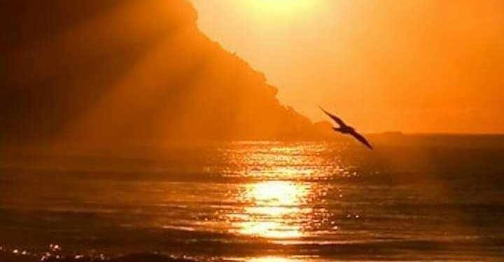  تراتيل الشّوق …