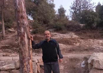 كم هي قاسية الأيام …