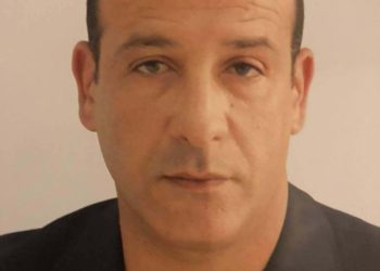 أُهديكِ شجرة …