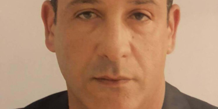 أُهديكِ شجرة …