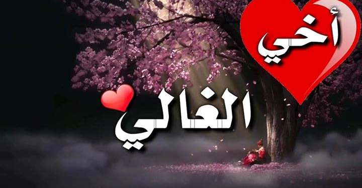 أبي الثّاني …