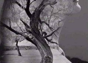 على عتبات الإنتظار