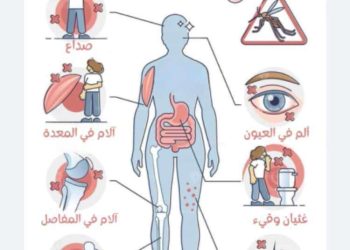 د.عبد العزيز يوسف آغا يكتب: ماذا تعرف عن حمى الضنك ؟