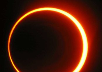 زايدي حياة تكتب نظرية كونية