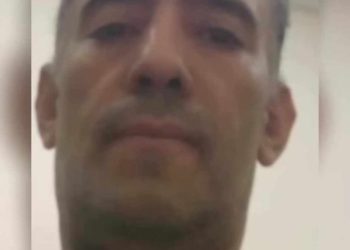 ثملات الانبطاح