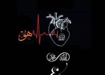 حياة زايدي الجزائرية تكتب : ورطة