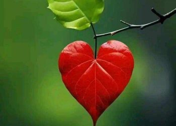 تَرنيمَةُ النَّدى