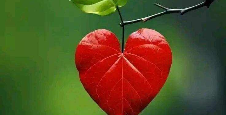 تَرنيمَةُ النَّدى