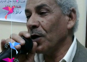 أُنثى العنكبوت