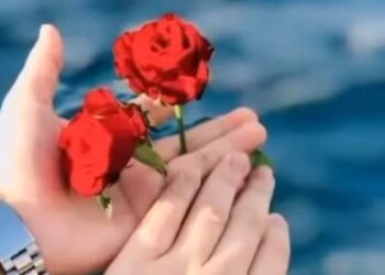 ياحبيبتي …