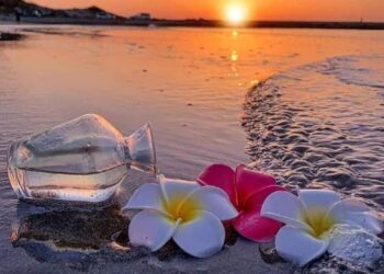 ثمة كائنات ملائكية تتسلل …