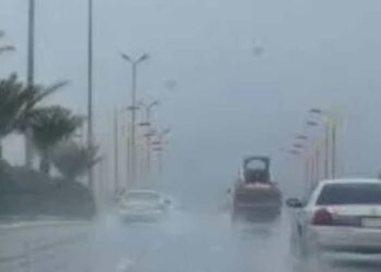 طقس بارد وشبورة وأمطار متفرقة غدًا …