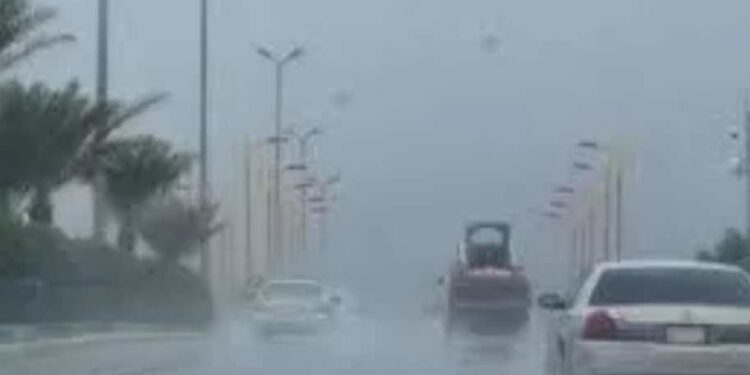 طقس بارد وشبورة وأمطار متفرقة غدًا …