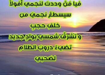 سأشكو إلى اللهِ …