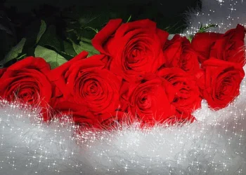 أثر التحول الرقمي على أدب الطفل …