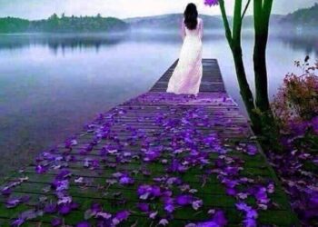 هناء ابوالوفا تكتب في الذات الداخلية