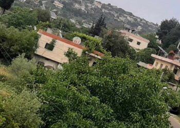 لا أنتمي للبحر