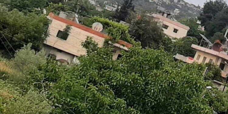 لا أنتمي للبحر