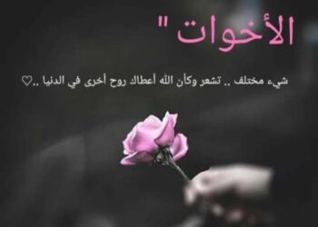 نبض الأفئدة