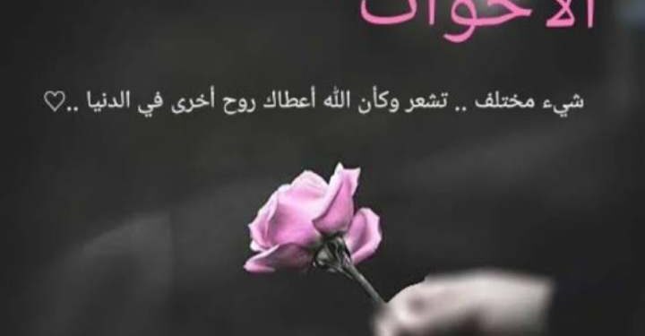 نبض الأفئدة