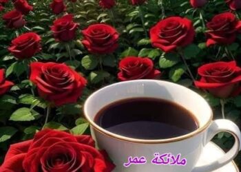 سُطور قَهوتي …