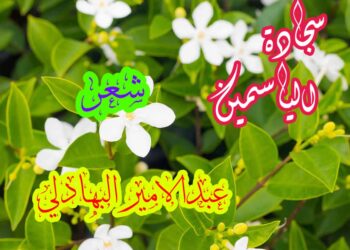 سجادة الياسمين …