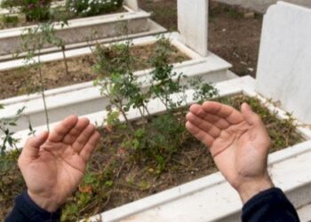 فراق ووداع …