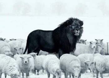 شِعر الخِرافة