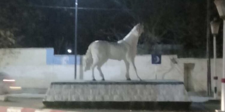 رسالة إلى عين البيضاء