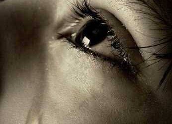 لغة بلا كلمات