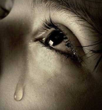 لغة بلا كلمات