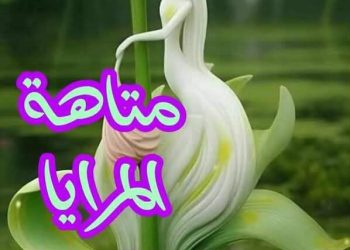 متاهة المرايا …