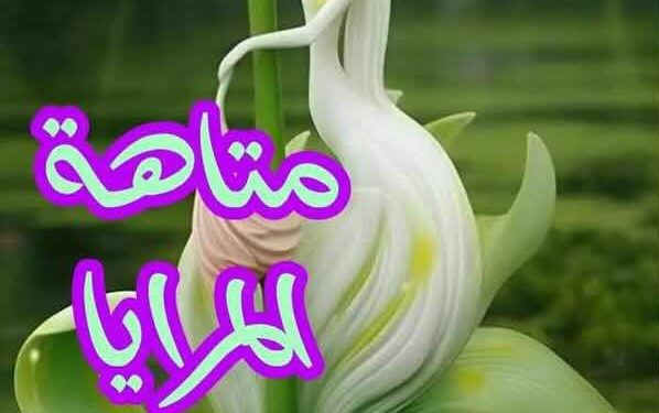 متاهة المرايا …