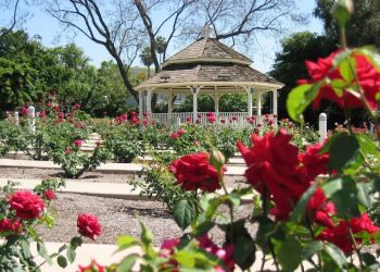 رمضان في مدينة الورود (البليدة): عبق التّقاليد وروحانيّة الأجواء