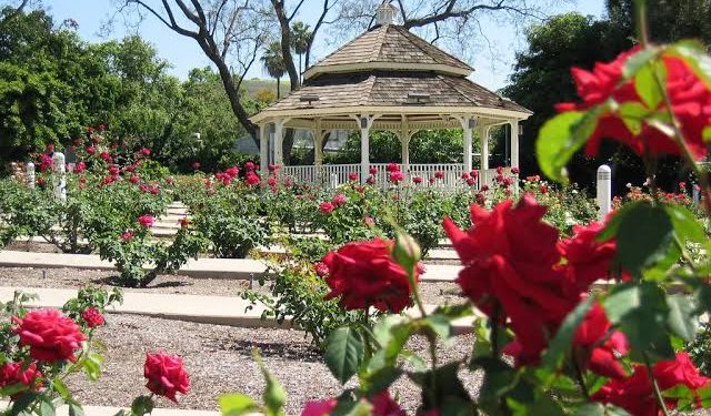 رمضان في مدينة الورود (البليدة): عبق التّقاليد وروحانيّة الأجواء