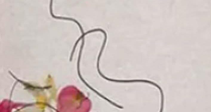 أوراق غرام 760