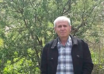 وِحامُ حنين…