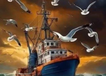 بشرى طالبي تكتب في انتظار الموعد