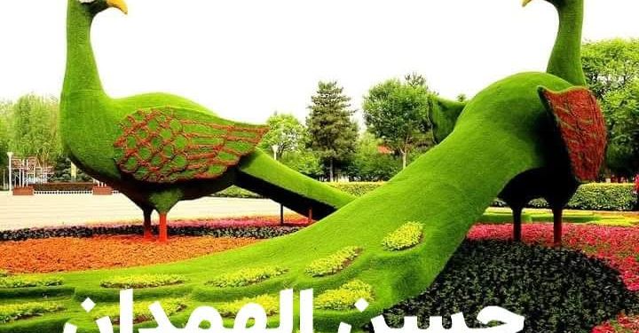 حسن الهمدان يكتب نهرُ الشعرِ